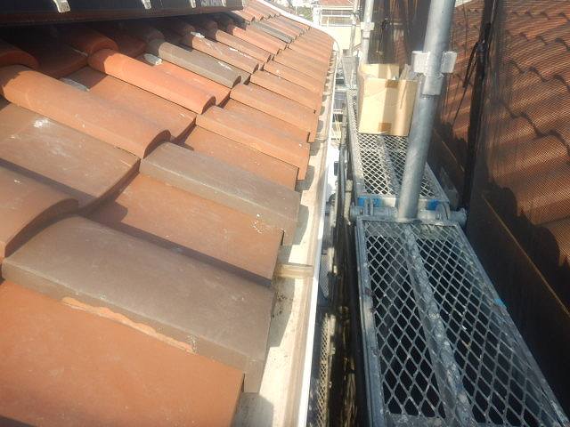 屋根　雨樋掃除